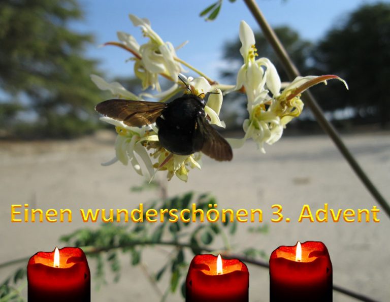 3 Advent 2022